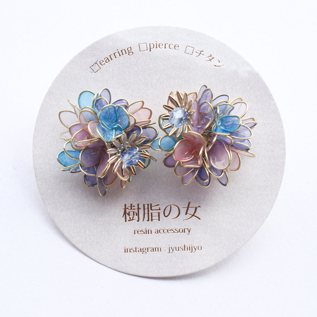 Hydrangea Yohira flower garden pink and blue