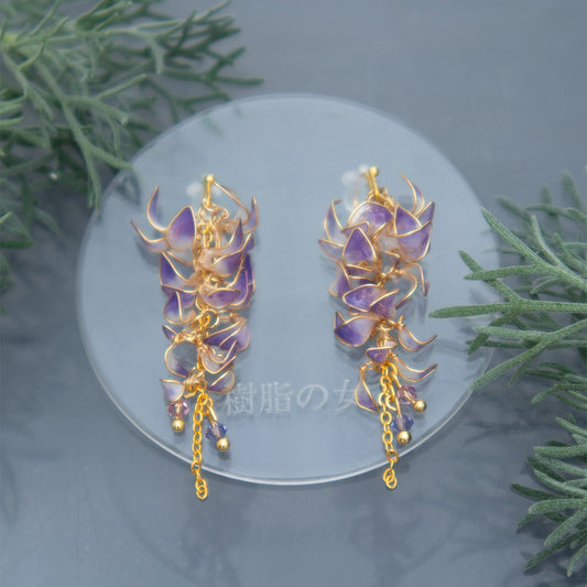 5月　藤　「四季花暦｜Seasonal Flower Calendar」