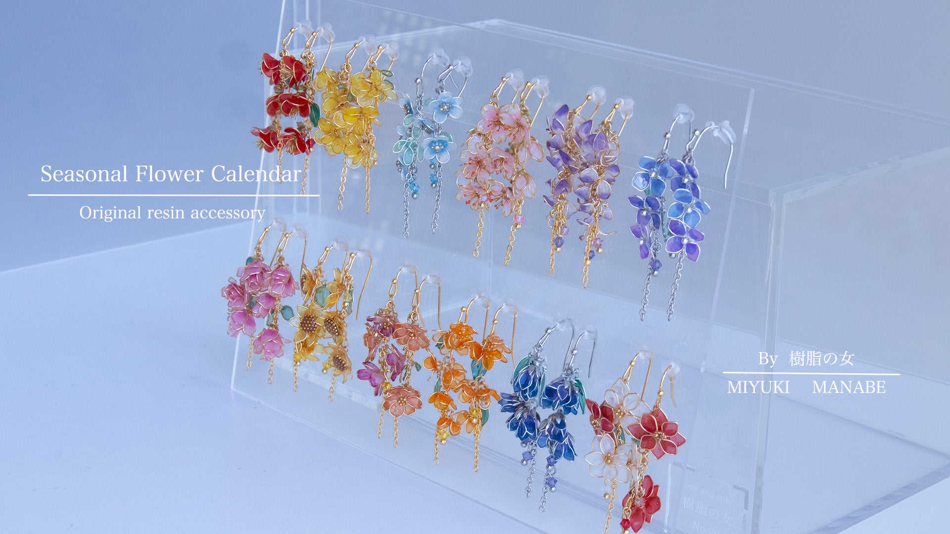 1月〜12月 全作品　１点のみ　「四季花暦｜Seasonal Flower Calendar」