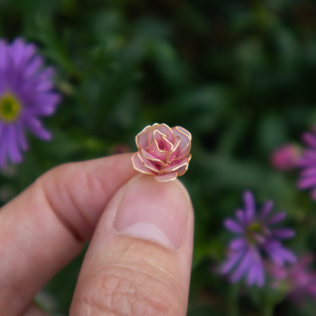 7月　Rose 薔薇　「四季花暦｜Seasonal Flower Calendar」