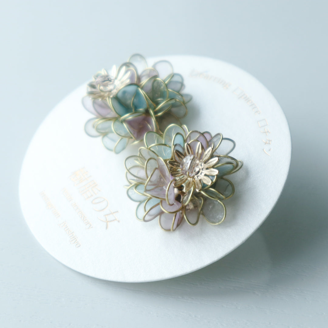 Hydrangea Yohira flower garden light green and purple