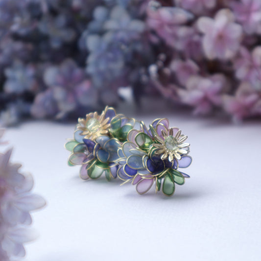 Hydrangea Yohira flower garden green and purple
