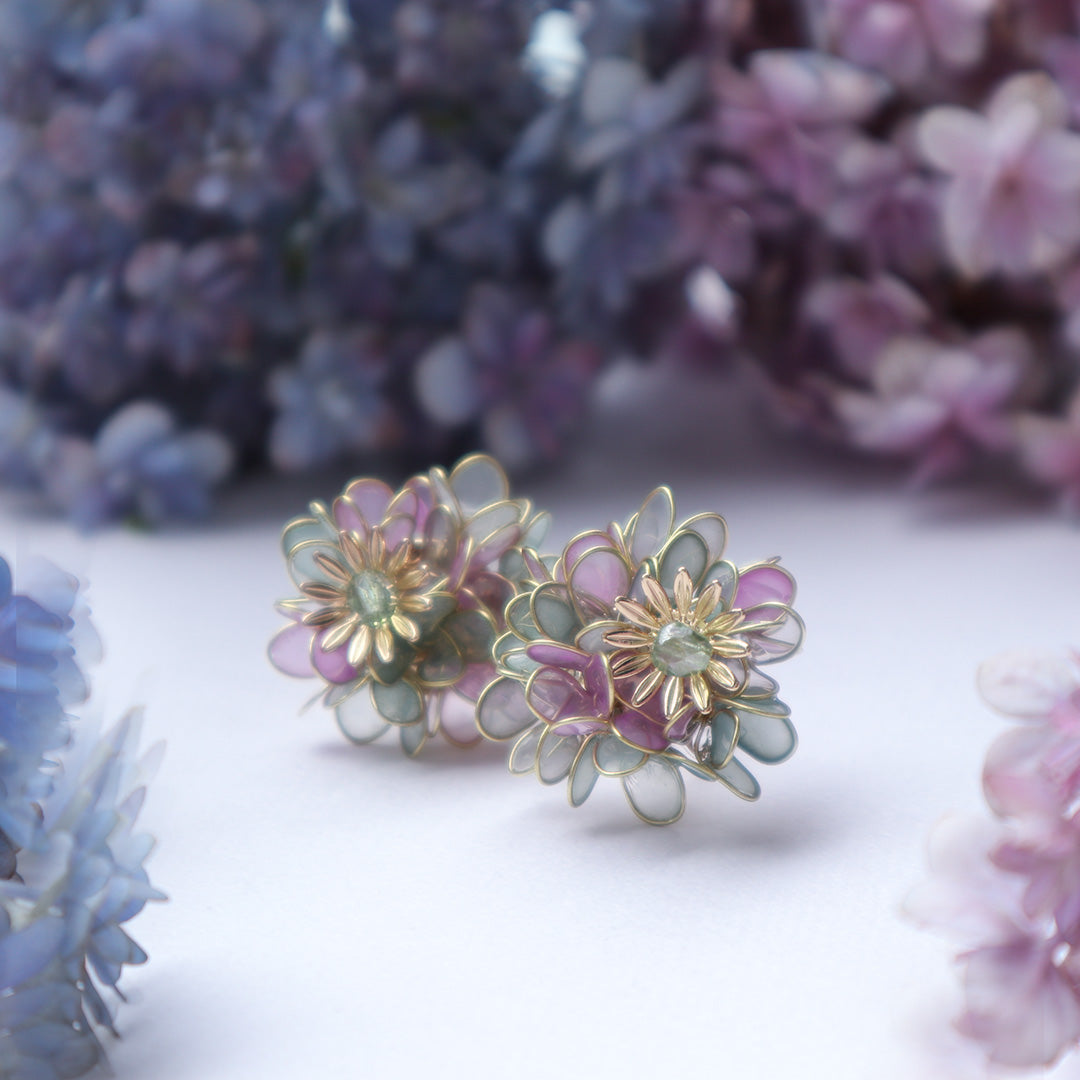 Hydrangea Yohira flower garden light green and purple