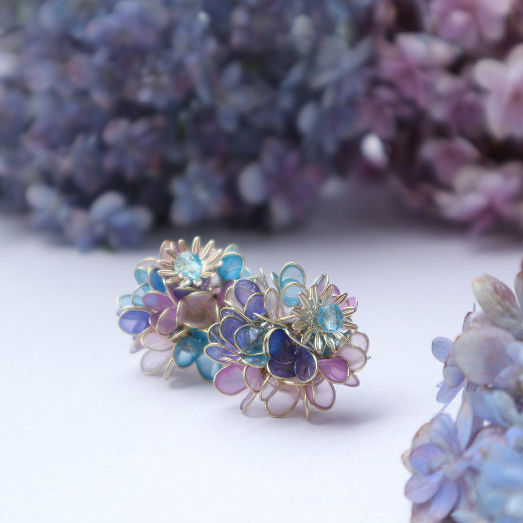 Hydrangea Yohira flower garden pink and blue